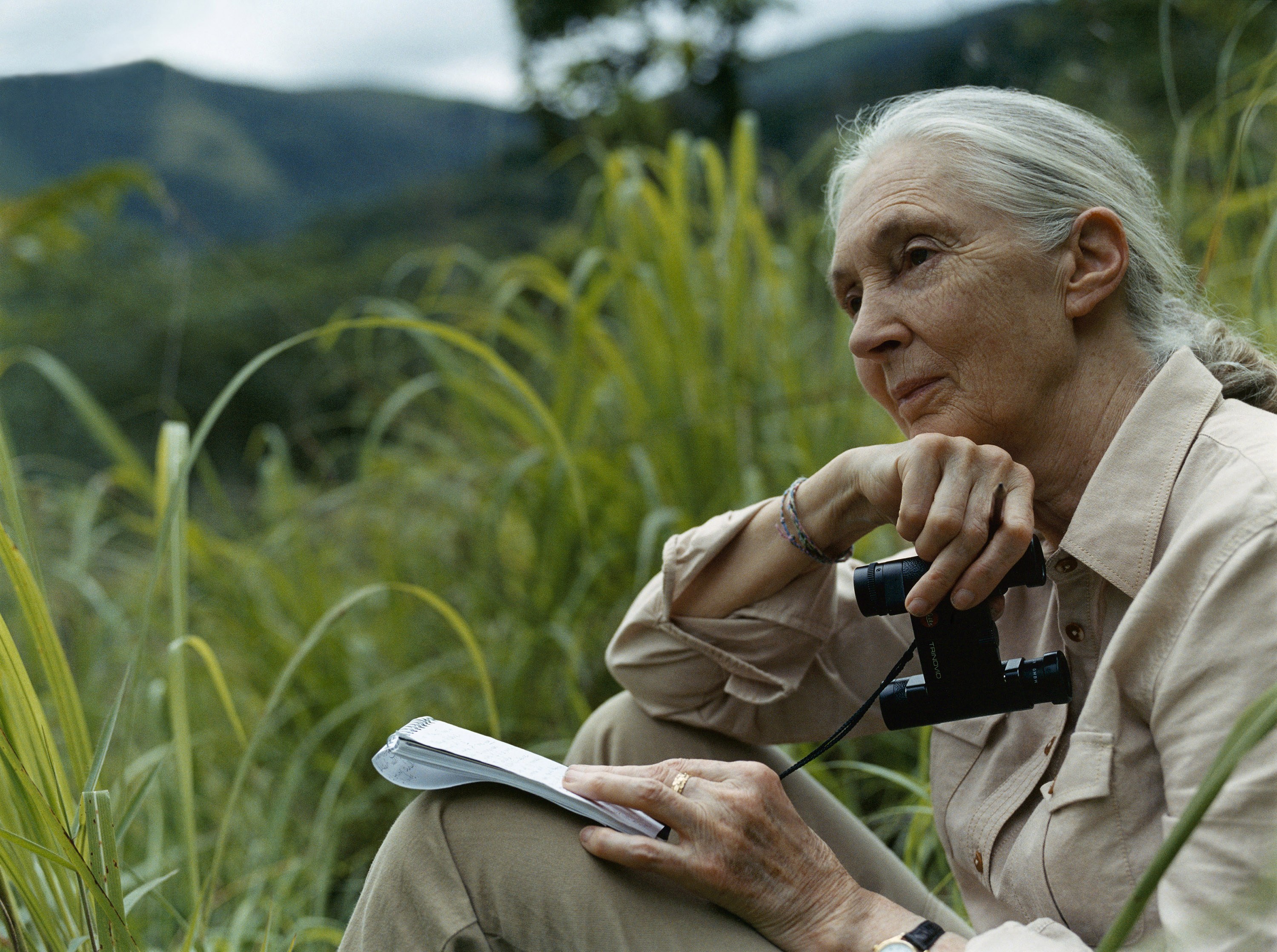 Jane Goodall Institute