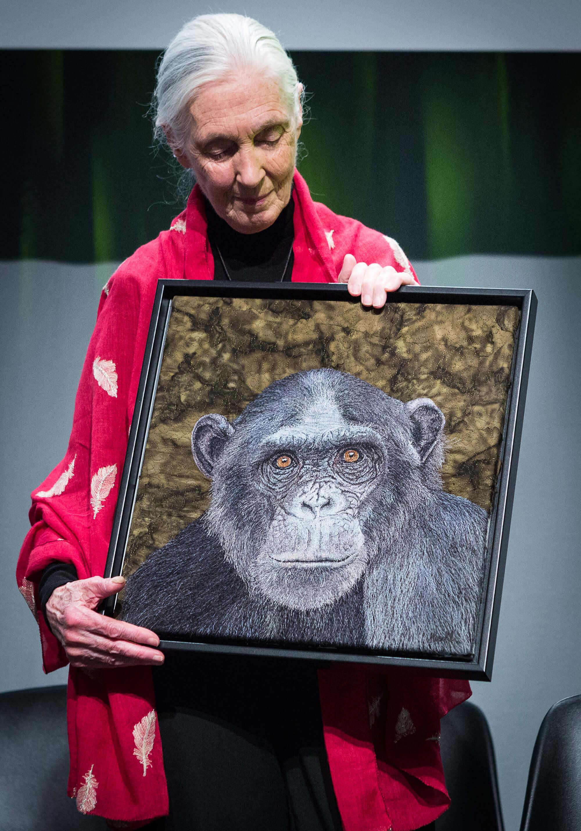 Jane Goodall - Wounda