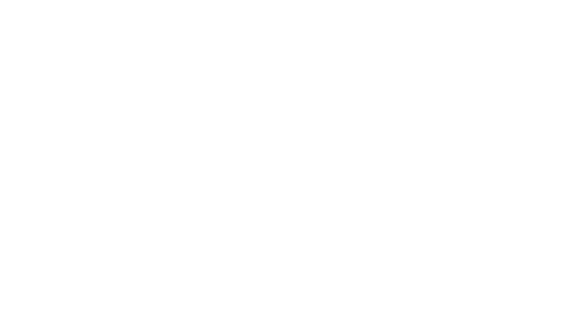 Logo lkw walter