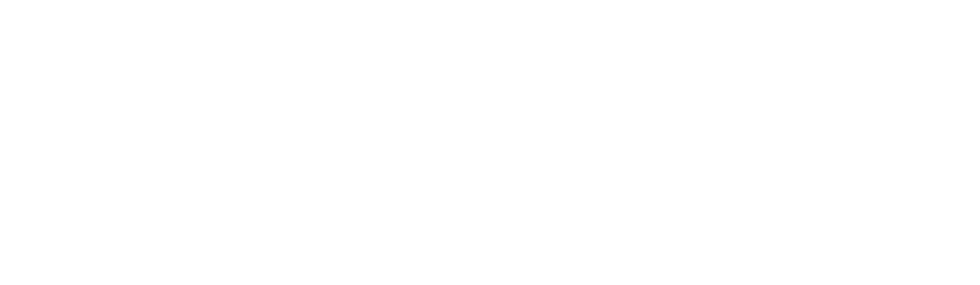 Logo primetals