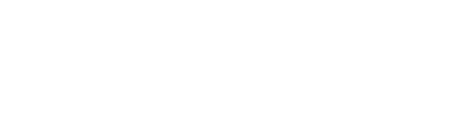 SAL Logo white gross RGB