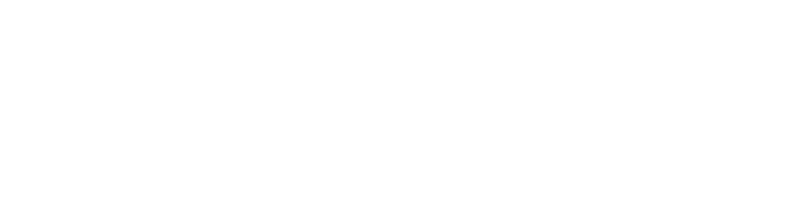 X tention Logo WEISS